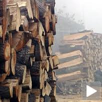 Drva za ogrev najugroženijima