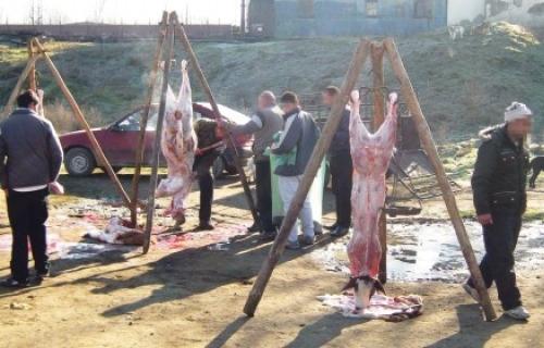 Сатарама јурили инспекторе