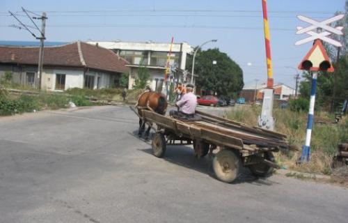 U Leskovcu dok je konja nema krize!