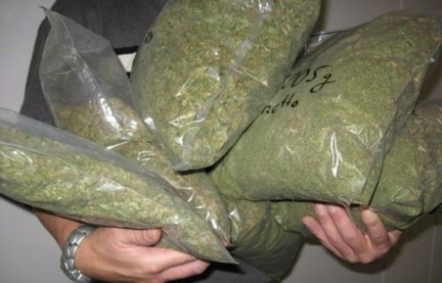 Zaplenjeno 1,6 kilograma marihuane
