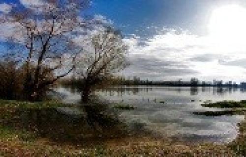 Ujutru kiša, posle podne sunčano