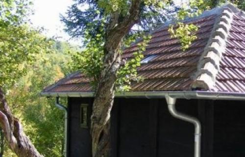 Prolom banja