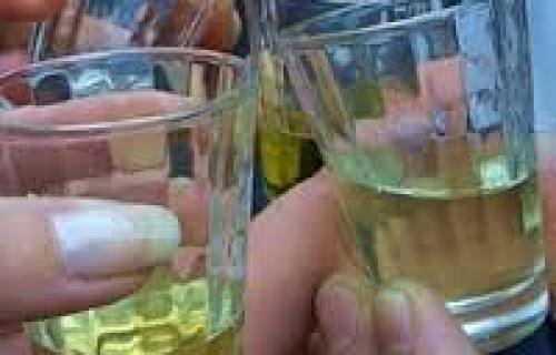 Istraživanje potvrdilo: Rakija je lekovita