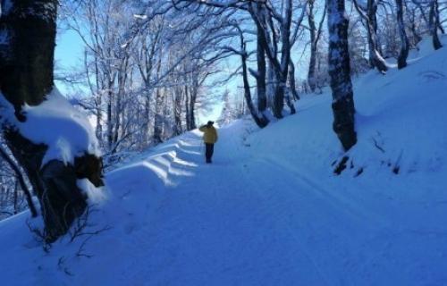 На Старој планини снег