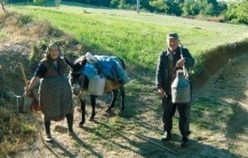 Bake i deke piju vodu punu fekalija