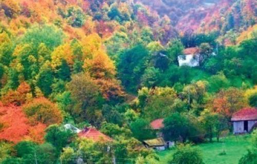 Ostavio grad da bi na planini čuvao koze