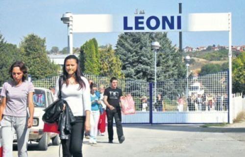 Леони повећао производњу и извоз