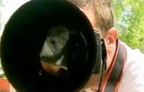 Такмичење фотографа у Нишу