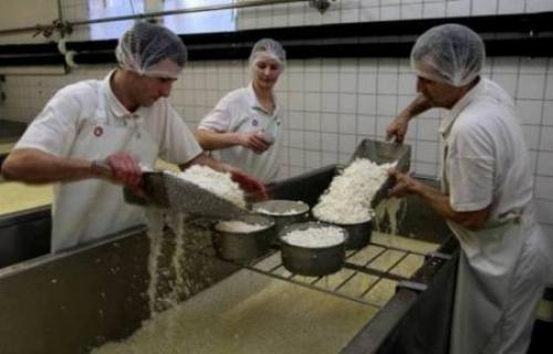 Pirotski kačkavalj zaštićen u Srbiji i EU