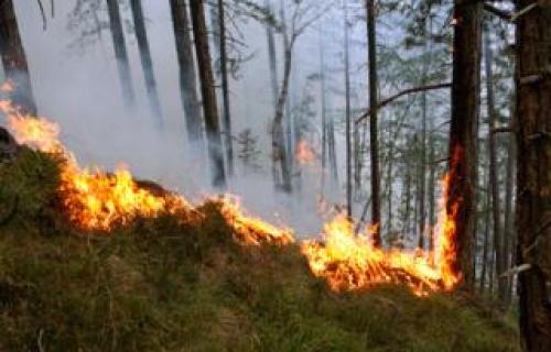 Пожар код Мердара још није заустављен