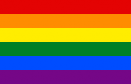 LGBT populacija i reforma sektora bezbednosti u Srbiji
