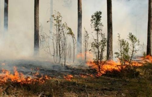 Два велика пожара на подручју општине Прокупље