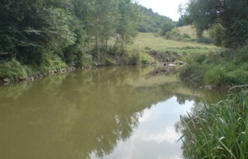 Uvećan vodostaj reka u Topličkom okrugu