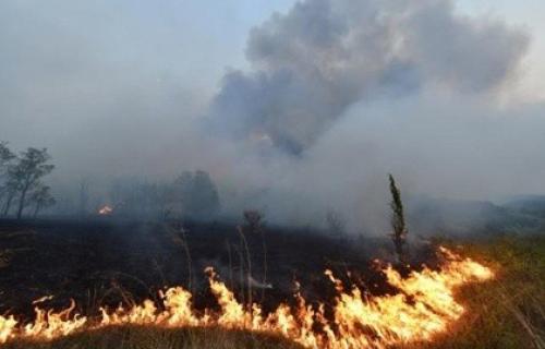 Поново се распламсао пожар у селу Ргаје