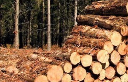 Албанци пуцали на српску жандармерију