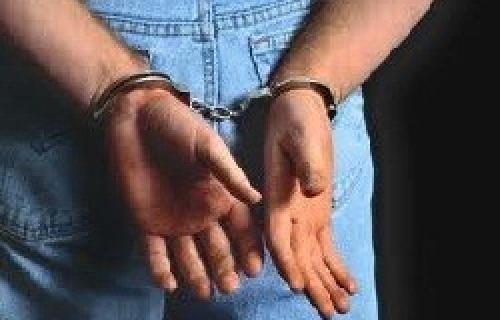 Mesec dana zatvora zbog vređanja policije