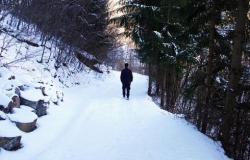 Obustavljen saobraćaj na putu Boljevac – Soko Banja
