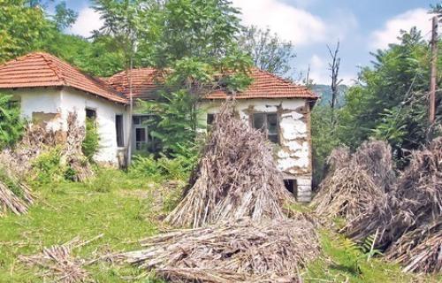 Najveća bolest je samoća