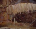GO Pantalej čini napore da Cerjanska pećina postane atraktivna turistička lokacija (VIDEO)