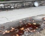 Kobna Kuršumlijska ulična trka, umro mladić