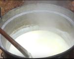 Tajna dobrog belmuža u domaćem punomasnom mleku (VIDEO)