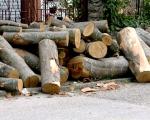 Rok od tri dana za sklanjanje drva sa javne površine