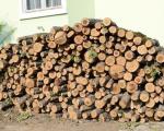 Подела огревног дрвета социјално угроженим породицама у Прокупљу