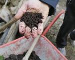За 10 произвођача у општини Бабушница обезбеђени су компостери у којима они одлажу органски отпад