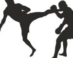 Kuršumlija domaćin kik boks takmičenja
