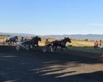 Коњичке трке на Дан града Лесковца
