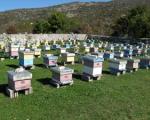 Stručni seminar za pčelare
