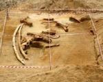 После одрона земљишта у дворишту куће у Блацу, изронио мамут стар 10 милиона година
