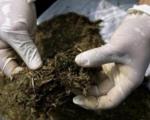 Pronađen 51 gram marihuane