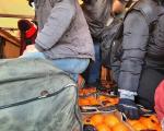 Među mandarinama i pomorandžama 12 "slepih putnika“ iz Sirije