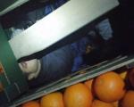 Pokušaj ilegalnog prelaska granice - braća u tovaru pomorandži