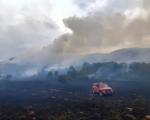 I pored višednevnih napora požari na Staroj planini nisu stavljeni pod kontrolu, naselja za sada nisu ugrožena