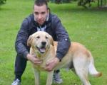 Куршумлија: Храбри пас спасао газду заробљеног испод трактора