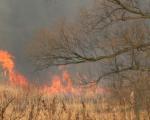 Ugašen požar u okolini Leskovca