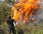 Угашен пожар у Куршумлији