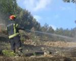 Пожар у околини Прешева заустављен сто метара од домаћинстава, борова шума још гори