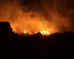 Buknulo nekoliko požara: Gore nisko rastinje i šuma
