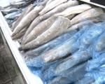 Niža cena ribe u odnosu na prošlu godinu (VIDEO)