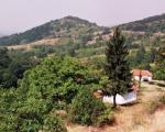 Sela u Kuršumliji zamrla, naoružani Albanci pustoše šume