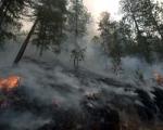 Lokalizovan požar kod Prokuplja, vatrogasci dežuraju