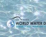 Danas se obeležava Svetski dan voda