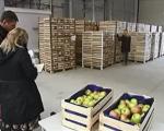 Nakon pokušaja prevare aleksinačke firme sa izvozom voća u Rusiju, uvodi se aplikacija o poreklu robe