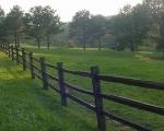 Hektar poljoprivrednog zemljišta u Leskovcu 110.000 evra