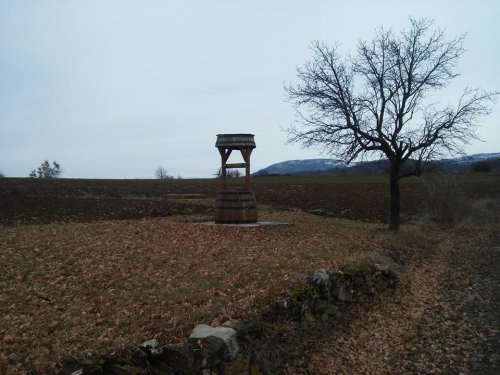 Bunar na njivi prekriven lišćem, Foto: M.S., Južna Srbija Info