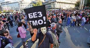 Влада Србије одустаје од ГМО