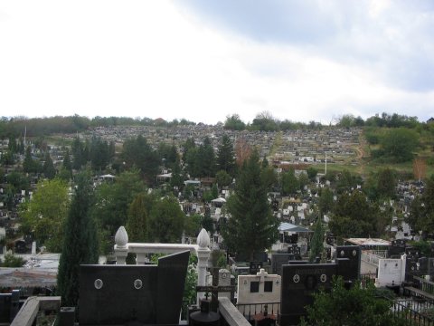 Светоилијско гробље у Лесковцу
